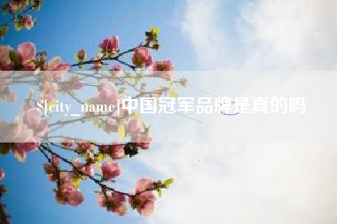 大悟中国冠军品牌是真的吗