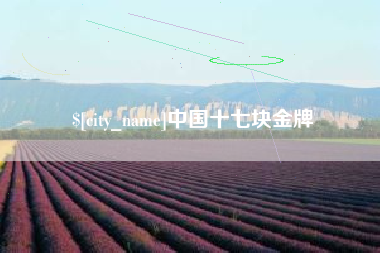 大悟中国十七块金牌