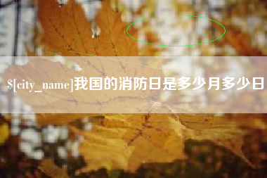 大悟我国的消防日是多少月多少日
