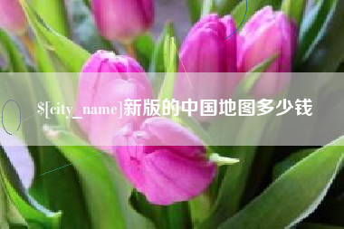 大悟新版的中国地图多少钱