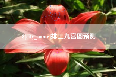 大悟排三九宫图预测
