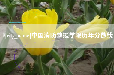 大悟中国消防救援学院历年分数线