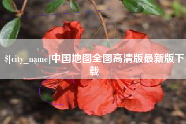 大悟中国地图全图高清版最新版下载
