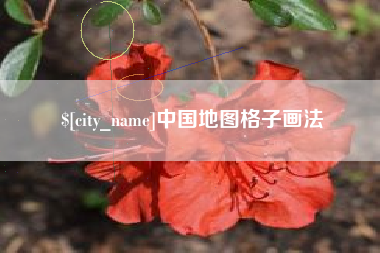 大悟中国地图格子画法
