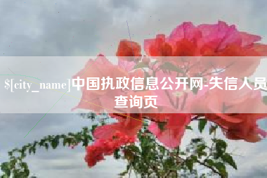 大悟中国执政信息公开网-失信人员查询页