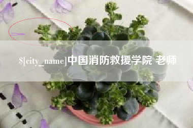 大悟中国消防救援学院 老师