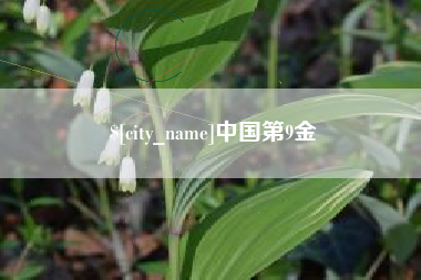 大悟中国第9金