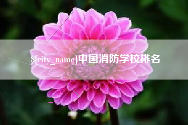 大悟中国消防学校排名