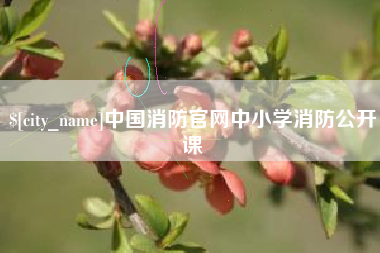 大悟中国消防官网中小学消防公开课
