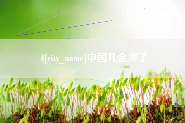 大悟中国几金牌了