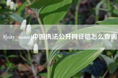 大悟中国执法公开网征信怎么查询