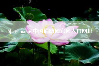 大悟中国消防网官网入口网址