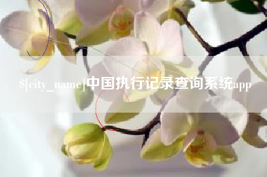 大悟中国执行记录查询系统app