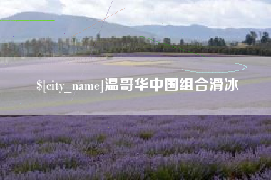 大悟温哥华中国组合滑冰