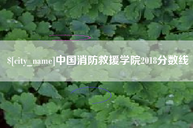 大悟中国消防救援学院2018分数线