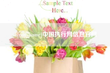 大悟中国执行网信息官网