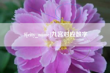 大悟九宫对应数字