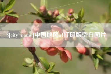 大悟中国地图a4打印版空白图片