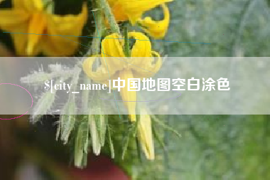 大悟中国地图空白涂色