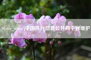 大悟中国执行信息公开网平台维护