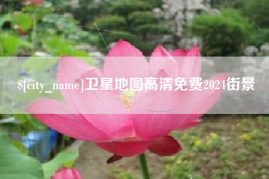 大悟卫星地图高清免费2024街景