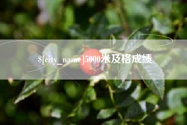 大悟5000米及格成绩