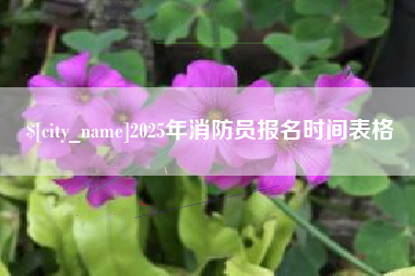 大悟2025年消防员报名时间表格