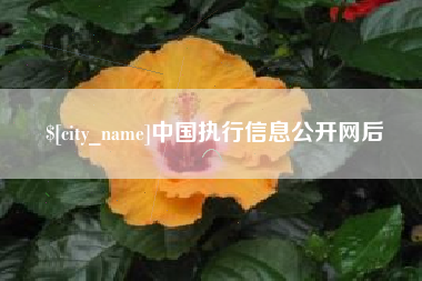 大悟中国执行信息公开网后