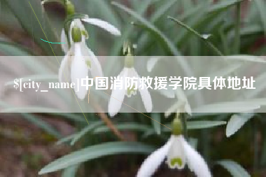 大悟中国消防救援学院具体地址