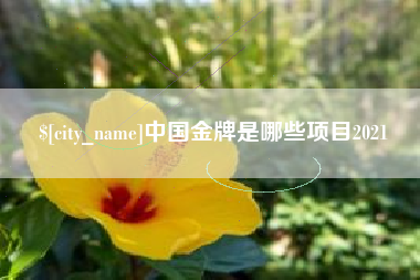 大悟中国金牌是哪些项目2021