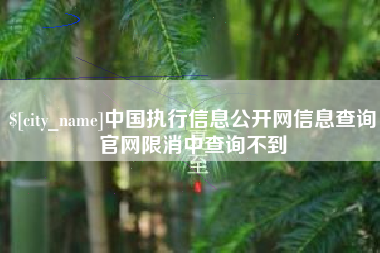 大悟中国执行信息公开网信息查询官网限消中查询不到
