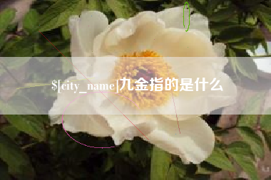大悟九金指的是什么