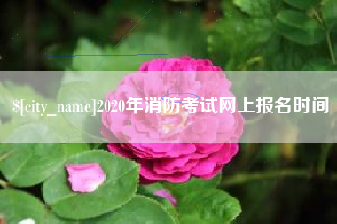 大悟2020年消防考试网上报名时间