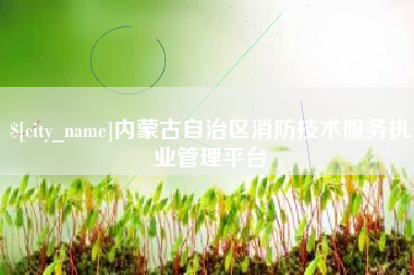 大悟内蒙古自治区消防技术服务执业管理平台