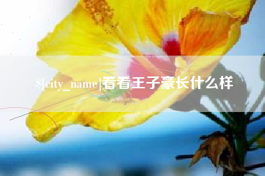 大悟看看王子豪长什么样