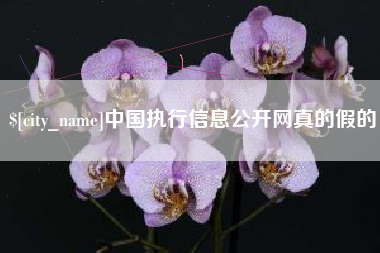 大悟中国执行信息公开网真的假的