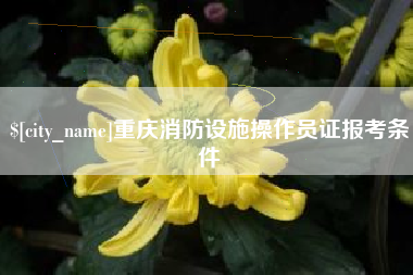 大悟重庆消防设施操作员证报考条件