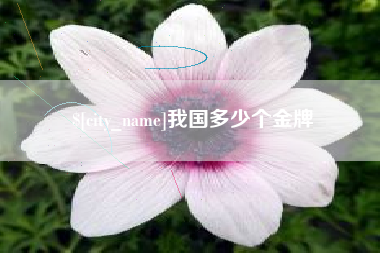 大悟我国多少个金牌