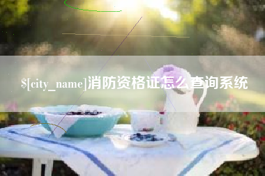 大悟消防资格证怎么查询系统