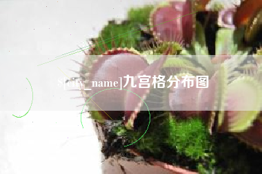 大悟九宫格分布图