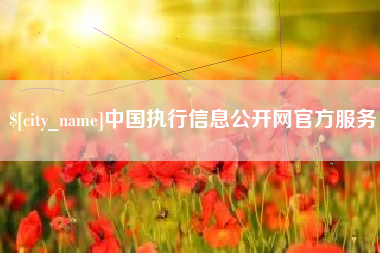 大悟中国执行信息公开网官方服务