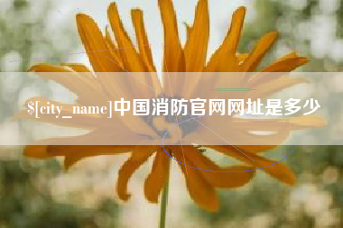 大悟中国消防官网网址是多少