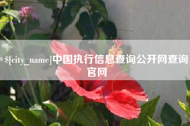 大悟中国执行信息查询公开网查询官网