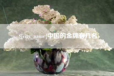 大悟中国的金牌有几名