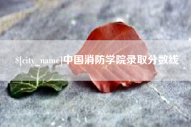 大悟中国消防学院录取分数线