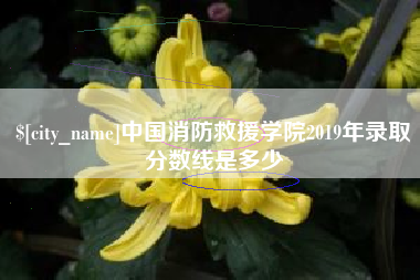 大悟中国消防救援学院2019年录取分数线是多少
