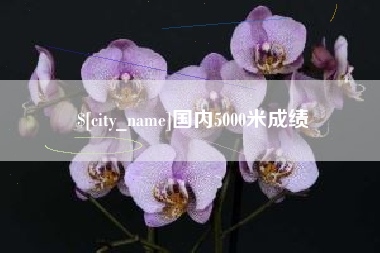 大悟国内5000米成绩