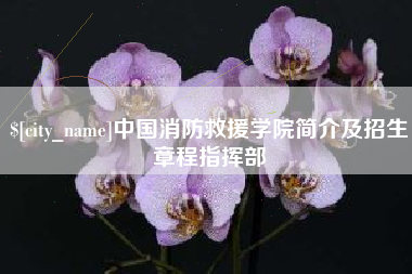 大悟中国消防救援学院简介及招生章程指挥部