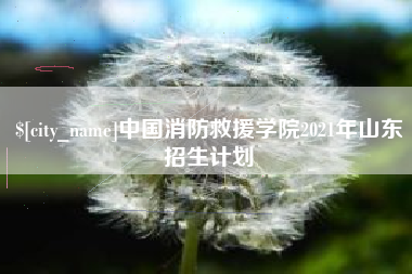 大悟中国消防救援学院2021年山东招生计划