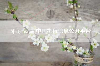 大悟中国执行信息公开平台